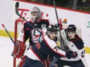 Windsor Spitfires Dominate Saginaw Spirit in Final Regular-Season Showdown
