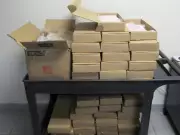 Windsor Trucker Sentenced to 10 Years for Massive Cocaine Importation at Ambassador Bridge