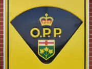 Windsor Woman Faces Multiple OPP Charges After Tecumseh Road Collision