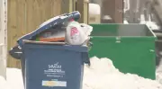 Winnipeg Nears Decision on Waste Collection Contract with Two Recommended Firms