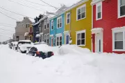 Winter Storm Blankets Eastern Newfoundland with 50 cm of Snow, More Expected