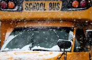 Winter Storm Forces Widespread School Bus Cancellations Across Greater Toronto Area