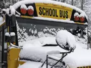 Winter Storm Forces Widespread School Bus Cancellations Across GTHA