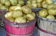 Yukon Gold Potato: A Canadian Culinary Icon Turns 60 After 14-Year Creation