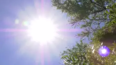 B.C. Interior Communities Shatter Daily Heat Records Amid Warming Trend