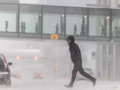 Blizzard Conditions Paralyze Calgary Roads, Triggering Multiple Collisions