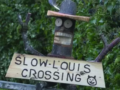 Border-Hopping Cat Louis Gets Custom Traffic Sign in South Surrey