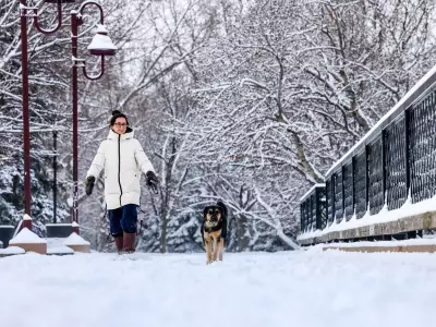 Calgary Braces for More Snow During Peak Snowfall Months, Says Environment Canada