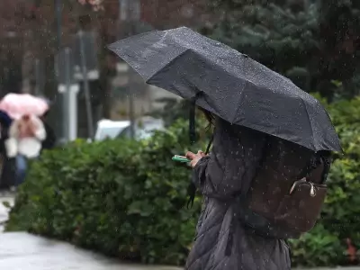 Canada's Happiness Plummets: Social Media's Toll on Youth Well-being Revealed