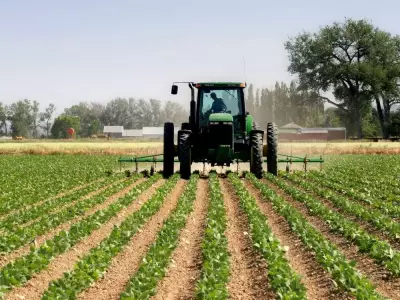 Canada's Productivity Crisis Deepens in Food Sector as U.S. Gains 10%