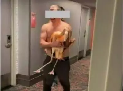 Canadian Tourist Faces Animal Abuse Charges for Alleged Flamingo Torture in Las Vegas