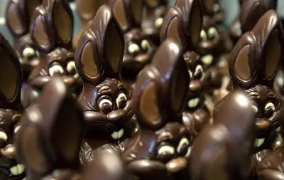 Cocoa Prices Drop, But Easter Chocolate Costs Remain High