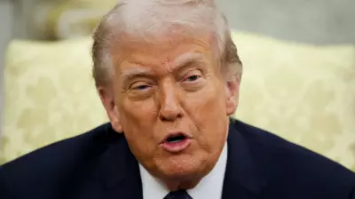 Comedian Tim Dillon Criticizes Trump's Approach to Iran Conflict, Urges Ego Appeal