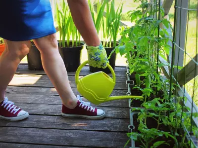 Container Gardening Guide: Optimal Timing for Transplanting Vegetables