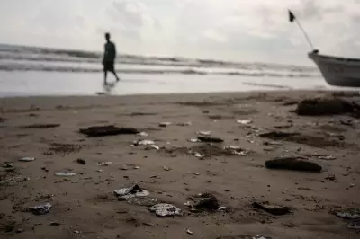 Environmental Groups Accuse Mexico of Misrepresenting Gulf Oil Spill Origins
