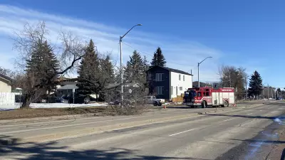 High Winds Cause Power Outages in Edmonton, EPCOR Crews Respond to Fallen Tree Incident
