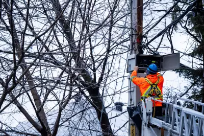 Hydro-Québec Deploys Novel Grid Protection Technique During Ice Storm