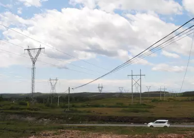 Hydrogen Firm Seeks Creditor Protection After Newfoundland Revokes Crown Land