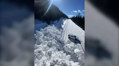 Icefields Parkway Closed After Multiple Avalanches in Kootenay National Park