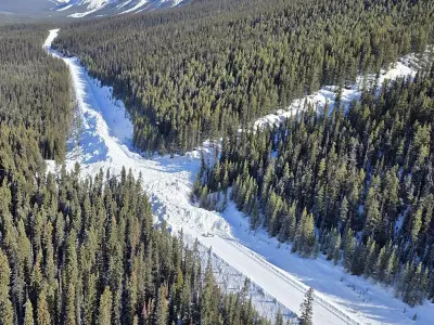 Icefields Parkway Reopens After Massive Avalanche, Clearing Efforts Continue