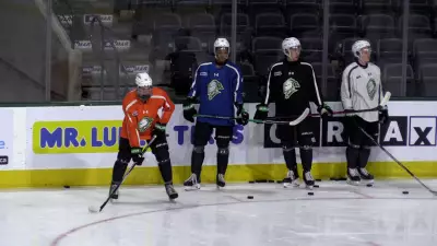 London Knights Secure Home Ice Advantage, Falcons and Boxer Shine in National Events