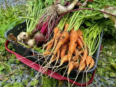 Maximizing Your Vegetable Garden: Expert Space-Saving Tips for Home Growers