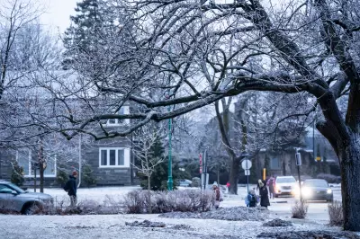 Montreal Grapples with Icy Roads and Service Delays After Severe Winter Storm