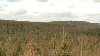 New Brunswick Premier Confirms Sisson Mine Feasibility Study Progressing as Planned