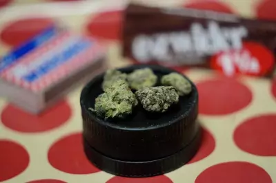 Nova Scotia RCMP Issues Tickets Following Raids on Five Illegal Cannabis Stores