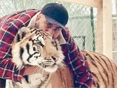 Ontario Mayor Orders Removal of Two Tigers from Residential Property