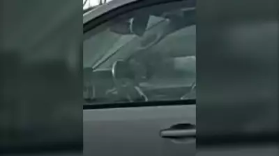 OPP Catches Driver Using Cellphone on Highway 417 in Ottawa During Rush Hour