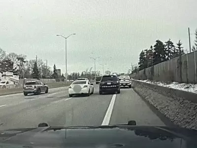 OPP Fines Seven Drivers on Queensway for Failing to Move Over for Emergency Vehicles