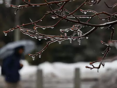 Ottawa Braces for Extended Freezing Rain Event Starting Tuesday Morning
