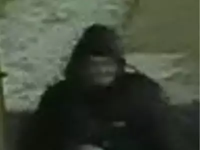 Ottawa Police Seek Public's Help to Identify Suspect in Colonel By Drive Sexual Assault