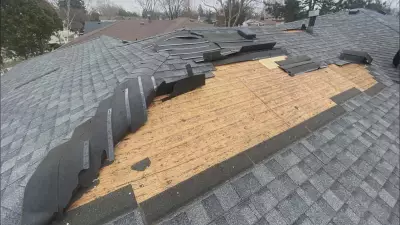 Powerful Windstorm Sweeps Through Windsor-Essex Region, Causing Widespread Damage