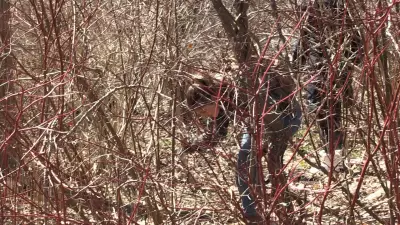 Search for Missing Kitchener Man Eli Wood Continues Over Five Months Later