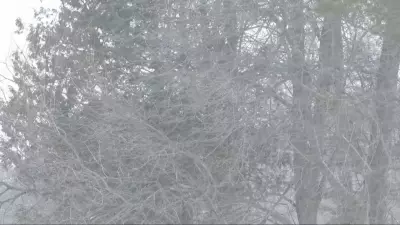 Simcoe Muskoka Under Widespread Advisory for Snow, Freezing Rain, and Heavy Wind