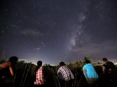 Space Lawyer Warns of Musk's Satellite Monopoly Threatening Night Sky