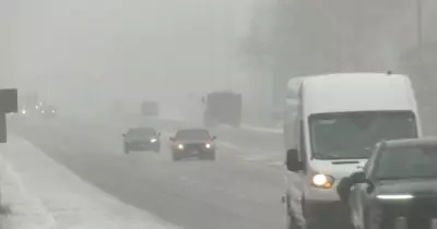 Special Weather Alert: Heavy Snow and Freezing Rain Threaten Barrie Region