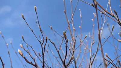 Spring Arrives with Showers and Flurries in Kitchener's First Full Week