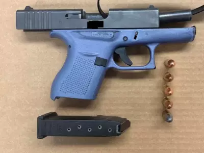 Toronto Police Charge Four in Firearms Raid, Seek Sex Assault Suspect