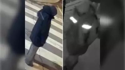 Toronto Police Hunt Suspect in Alleged Parkdale Sexual Assault