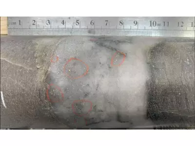 West Red Lake Gold Reports Positive Drill Results from Rowan Mine Project