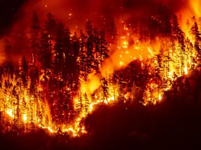 Wildfire Aftermath: Drinking Water Contamination Persists for Years, Study Reveals