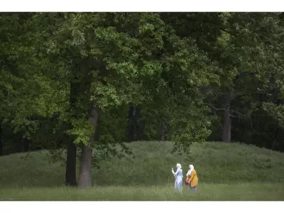 Windsor Closes Optimist Memorial Park After Destructive Windstorm Damage