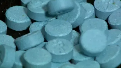 Windsor Police Report Significant Drop in Fentanyl Seizures for 2025