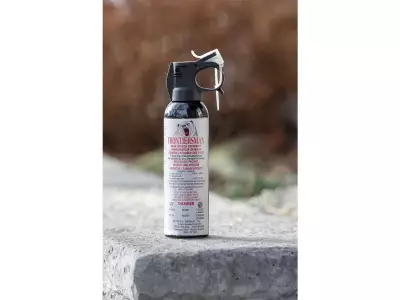 Windsor Police Seek Suspect After Woman Assaulted with Bear Spray in South Walkerville