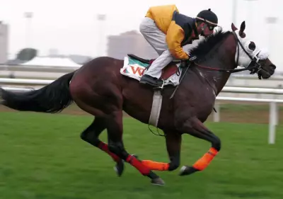 Woodbine and NYRA Launch Empire Trillium Series for Horse Racing