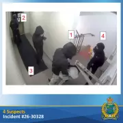 18-Year-Old Arrested for Allegedly Ramming Police Cruisers During Home Invasion Escape