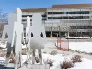 AI Tool at CHEO Aims to Reduce Pediatric Mental Health Emergency Revisits